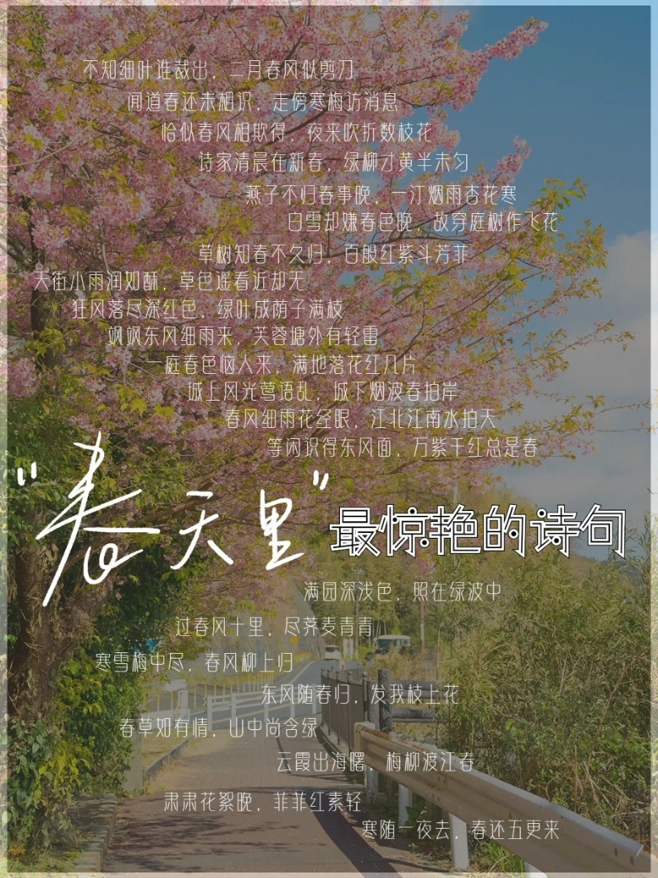素材收集|那些惊艳的描写春天的诗句,作文