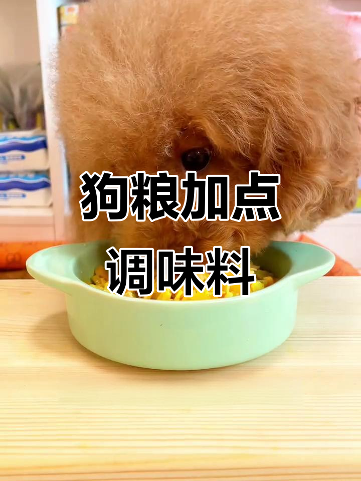 姜黄粉和肉桂粉让狗狗更健康,长寿秘诀大公开