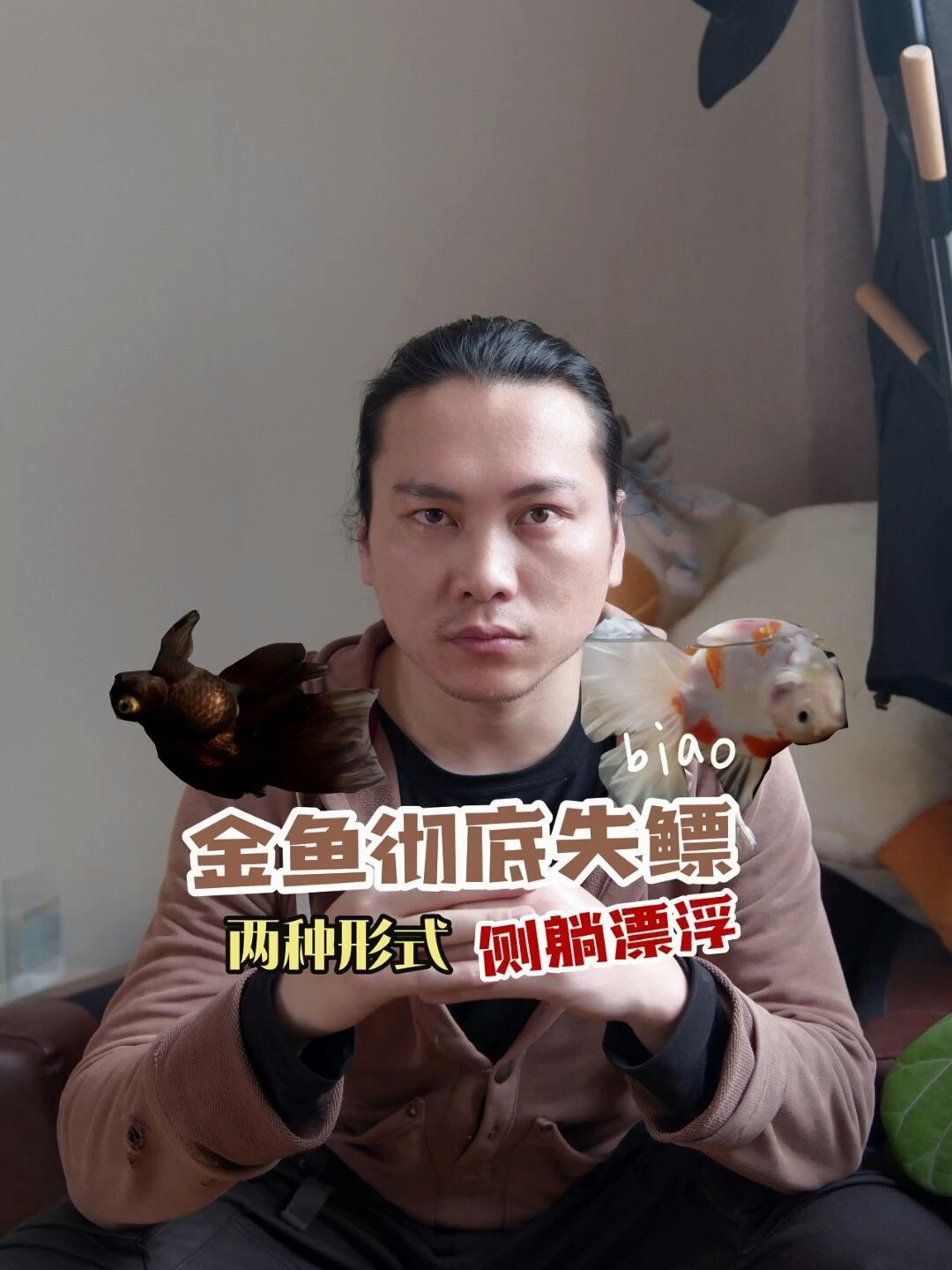 原来金鱼彻底失鳔|两种形式:沉底漂浮