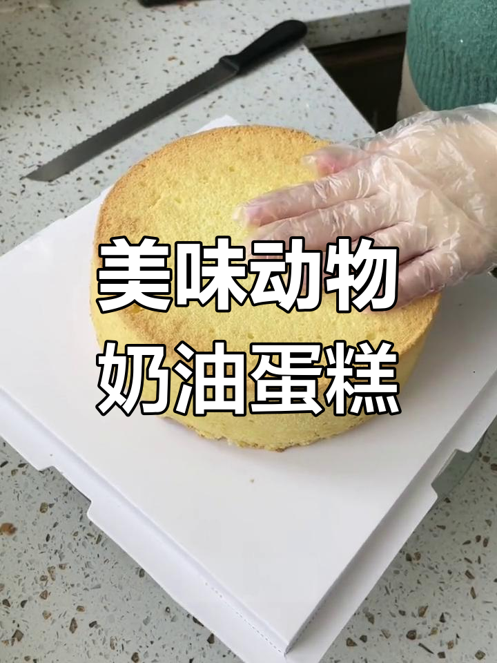 制作精美抽钱蛋糕,轻松学会私房烘焙