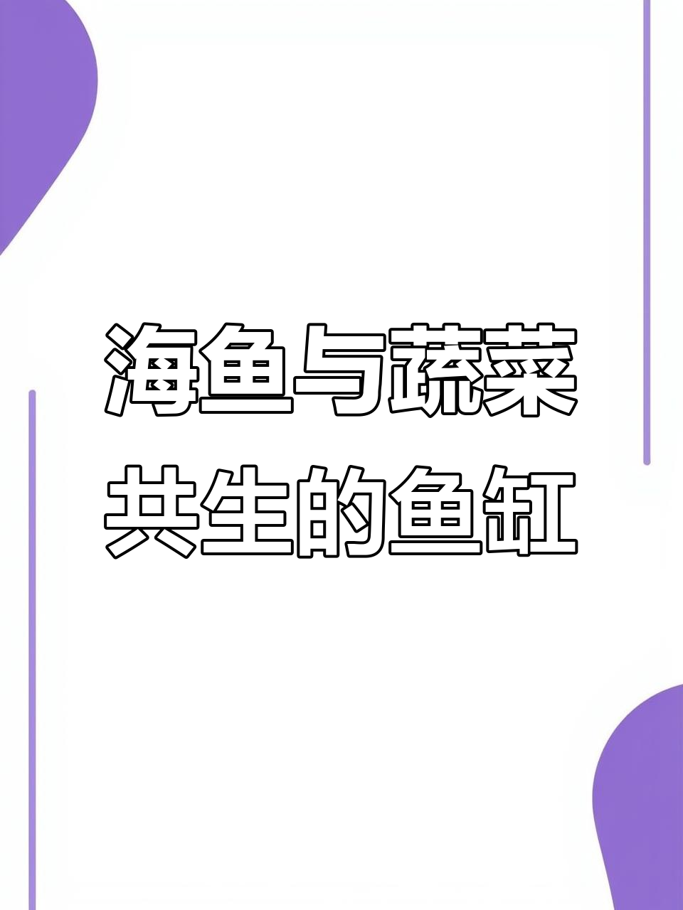 鱼菜共生循环水养殖，轻松解决换水和过滤问题