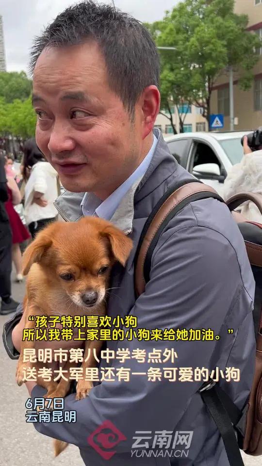 “孩子特别喜欢小狗,所以我带上家里的小狗来给她加油。”昆明市第八中学考点外,送考大军里还有