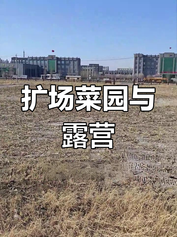 春暖花开,土地利用新计划:菜园、露营基地双丰收