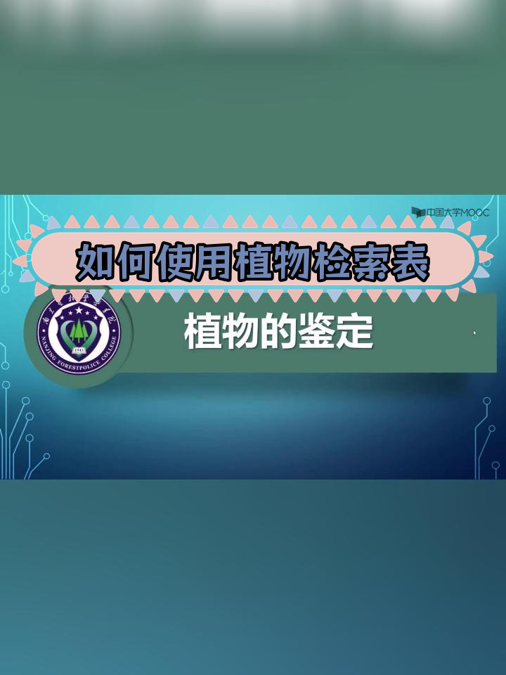 植物检索表的使用与原理