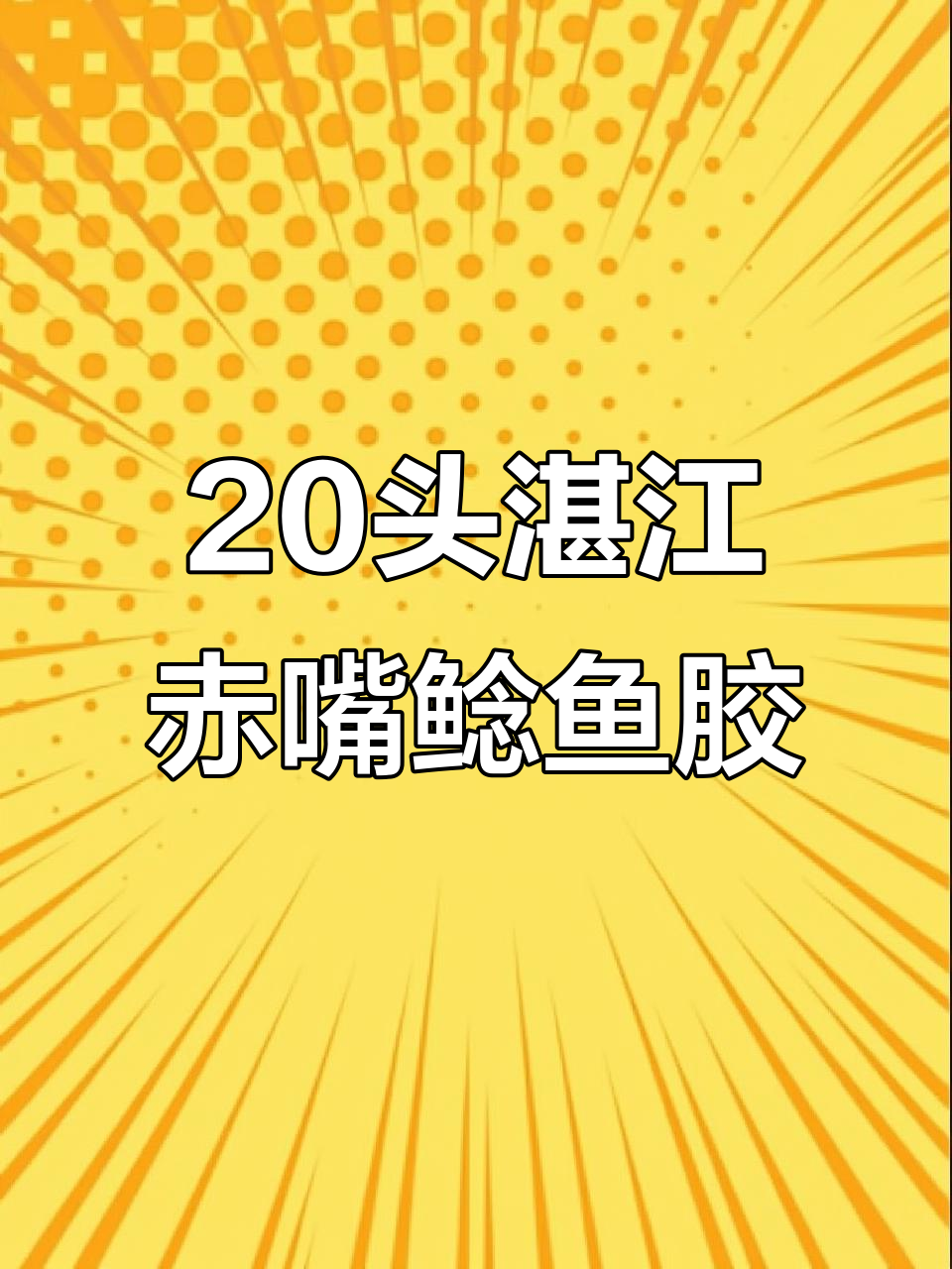 湛江赤嘴鳘鱼胶:性价比高,秋冬必备滋补良品