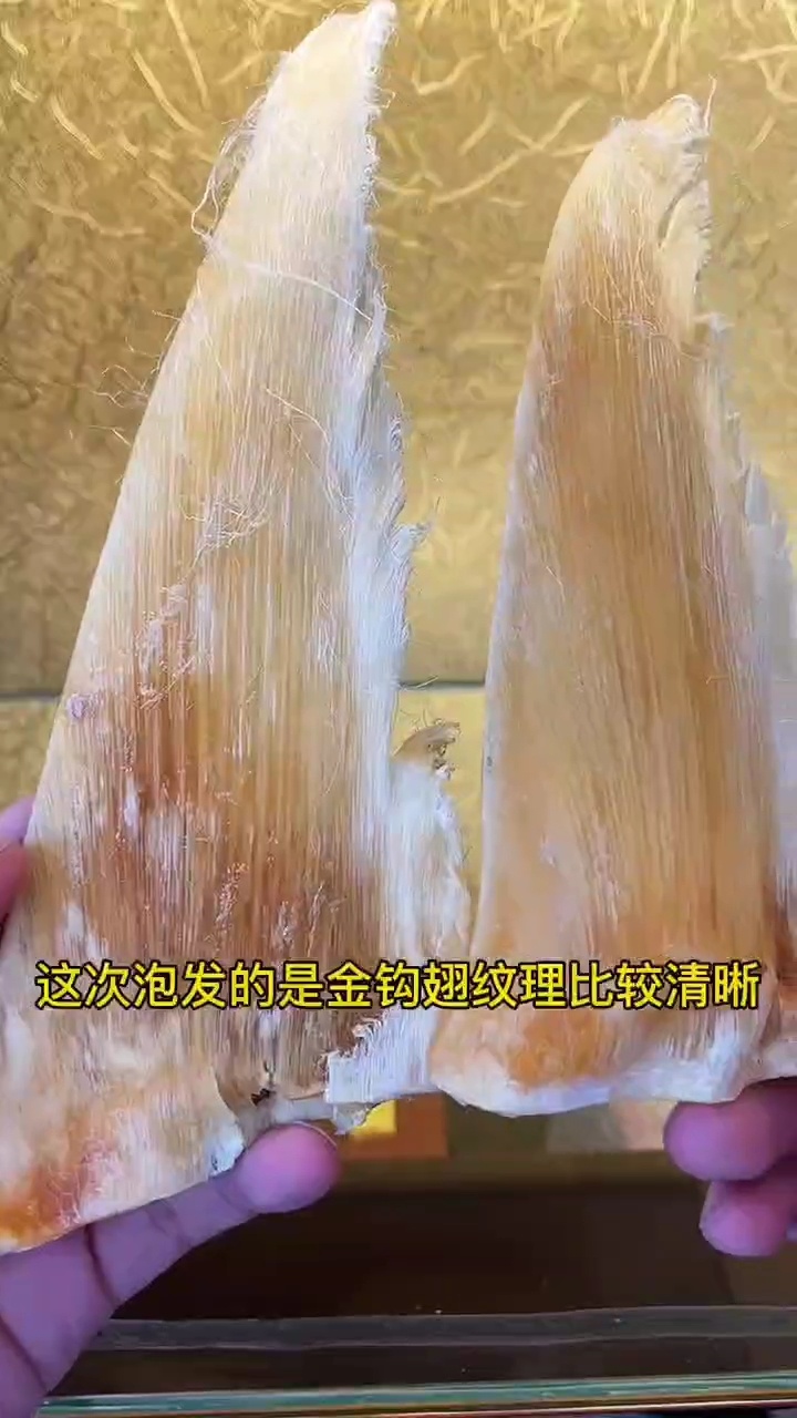 鱼翅泡发教程