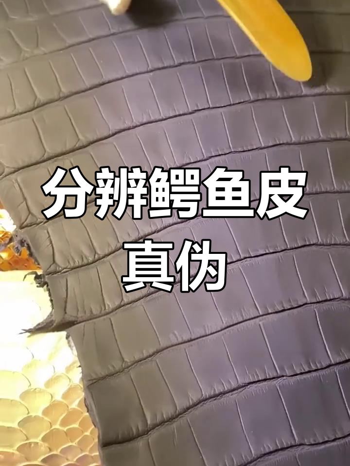 如何辨别真假鳄鱼皮包