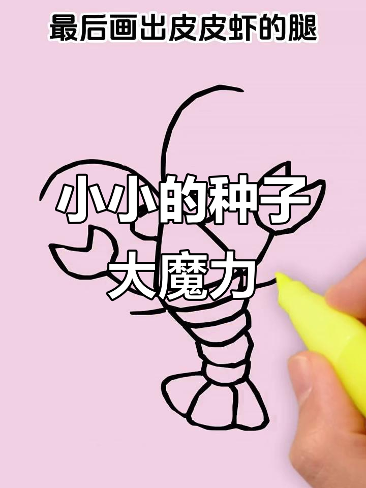心中种下一颗魔法豆,一起探索神奇的小小愿望