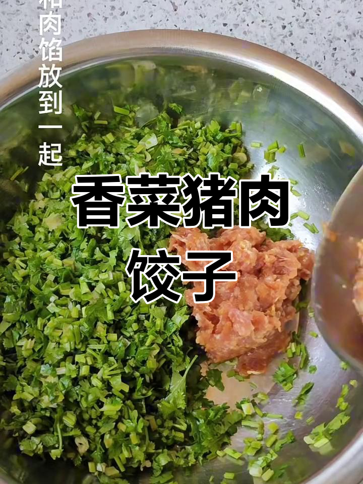 香菜猪肉水饺,香气扑鼻让人无法抗拒