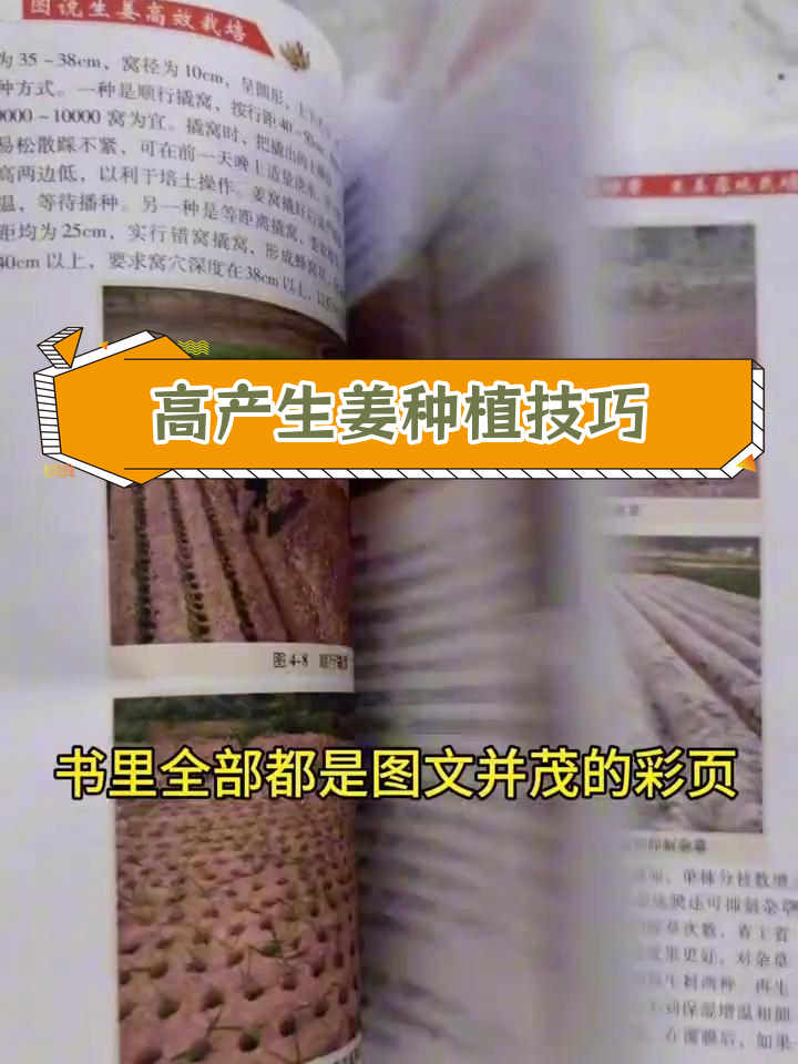 土壤熏蒸剂:高效防病增产的关键