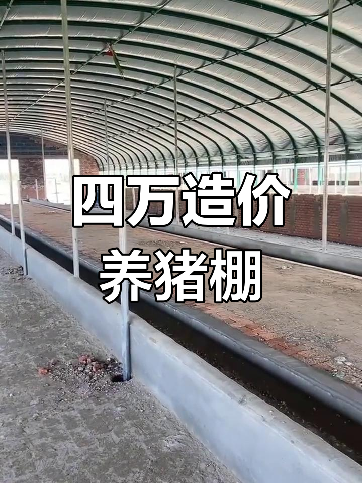 新型养殖大棚:四万造价,十五年使用寿命