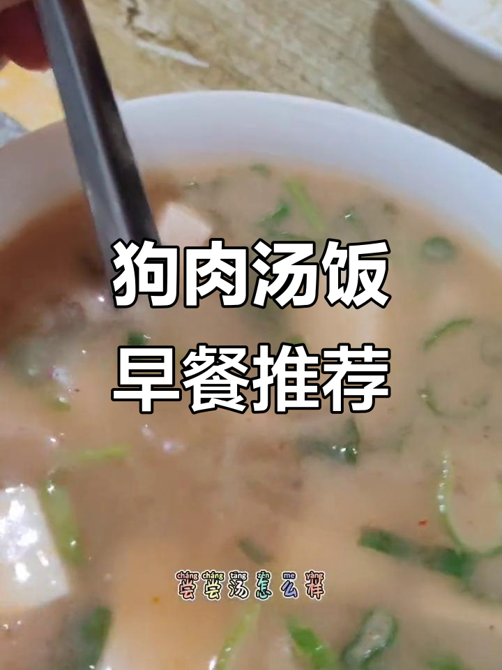 早餐打卡!狗肉汤饭与咸菜的完美搭配,干饭人必试
