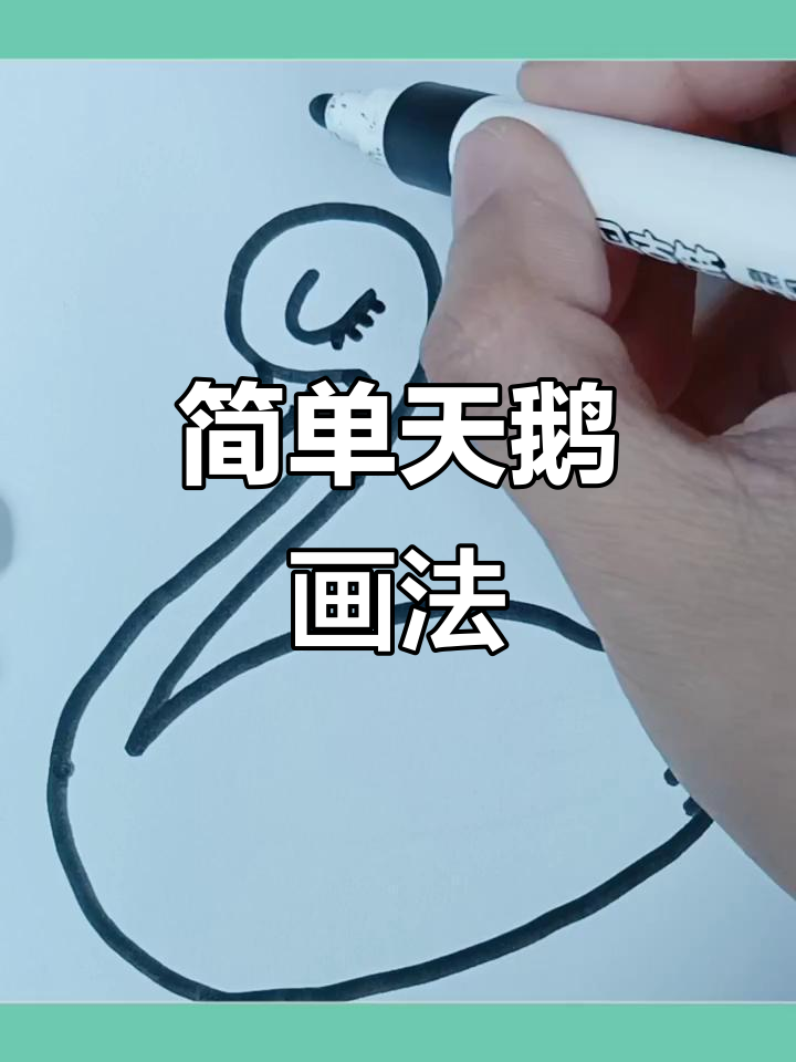 天鹅简笔画教程，画出美丽皇冠天鹅