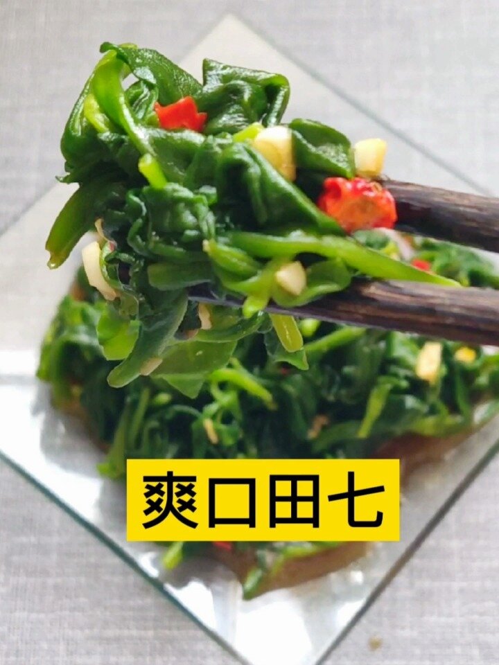 新鲜肥美的田七,不止是好吃哦