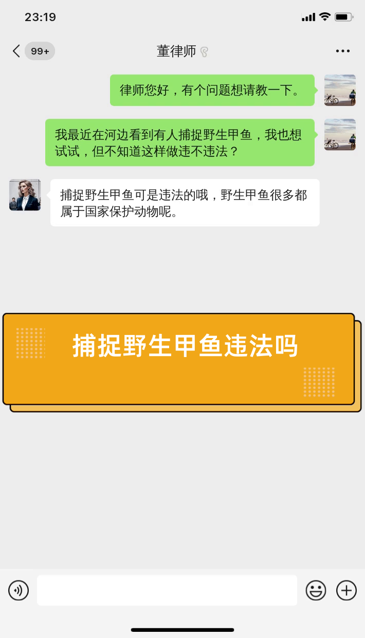 捕捉野生甲鱼违法吗