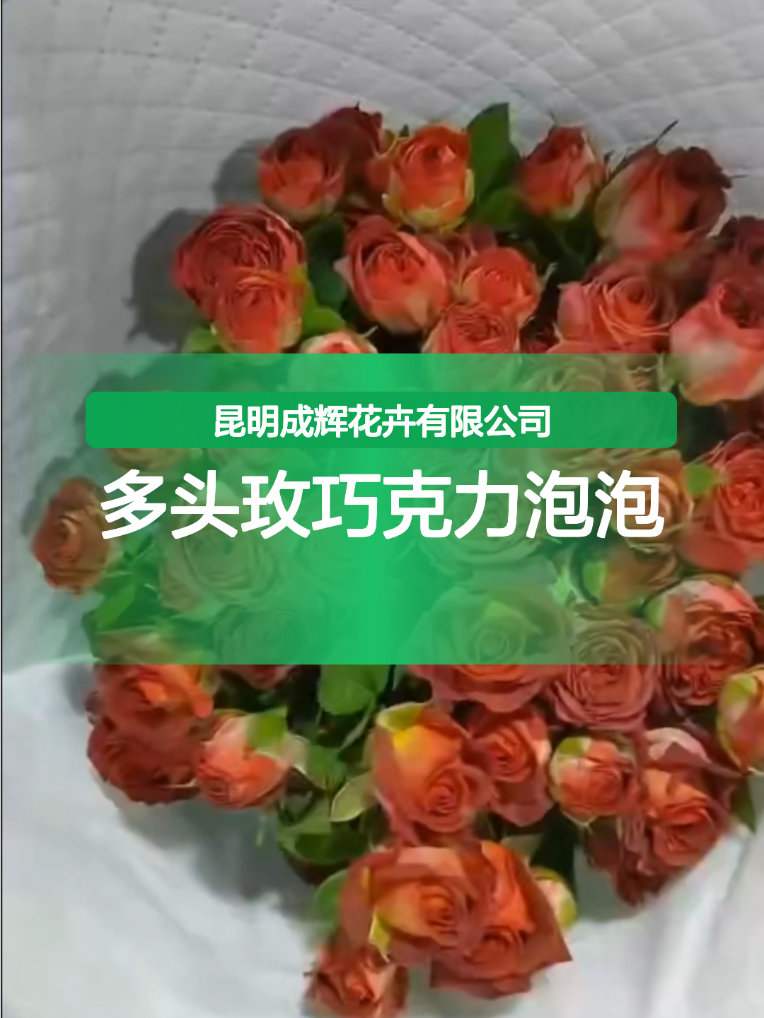 多头玫巧克力泡泡