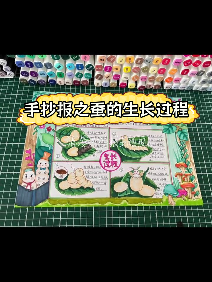 蚕的一生:自然笔记手抄报