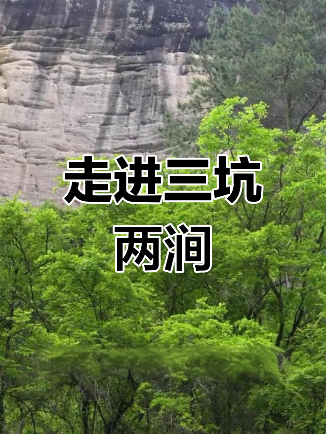 探秘武夷岩茶天花板,牛栏坑肉桂的独特魅力