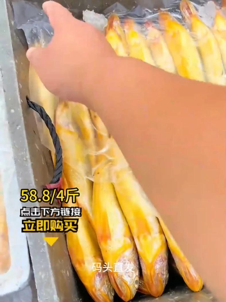 4 斤硬邦邦的分量,够全家吃两顿!58.8 块钱,买条冻鱼都未必够,现在能把整船的刚出水的