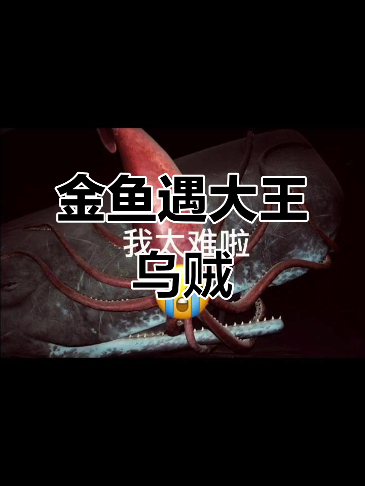 金鱼宝宝被大王乌贼抓住,怎么办?鲸鱼和鱿鱼的命运大逆转