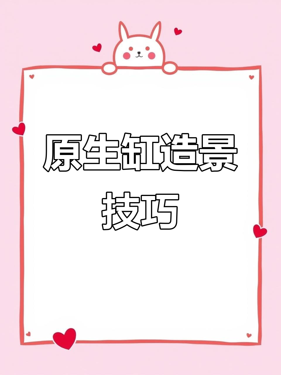 原生缸造景全攻略：从底床到水草搭配