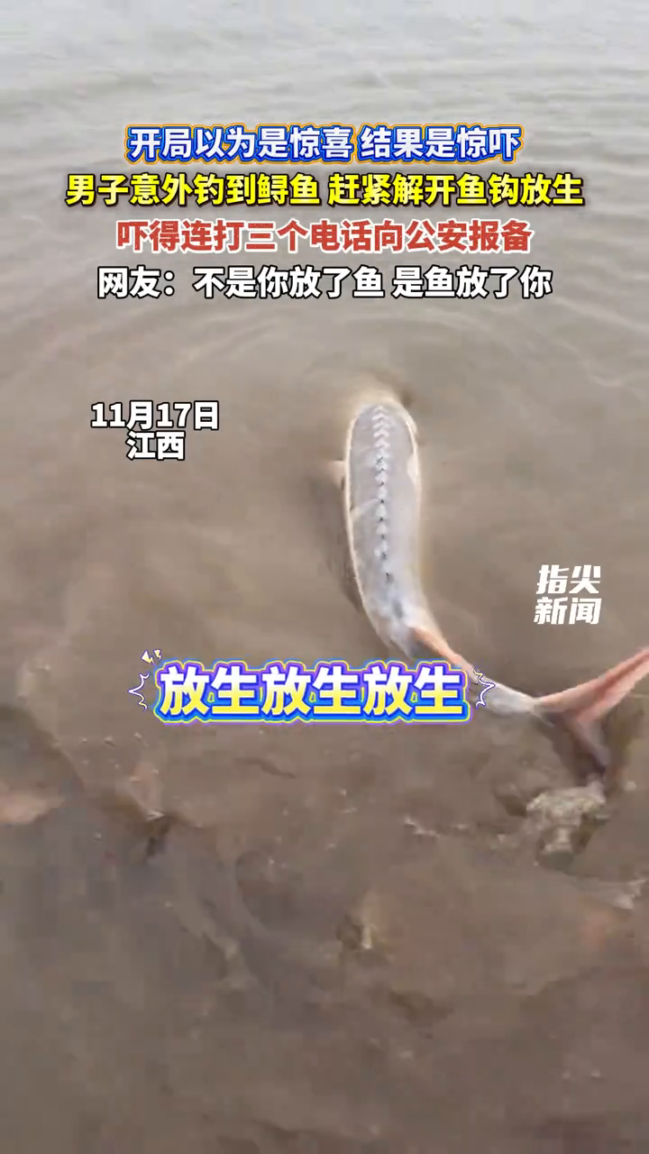 男子意外钓到鲟鱼 赶紧解开鱼钩放生 吓得连打三电话向公安报备