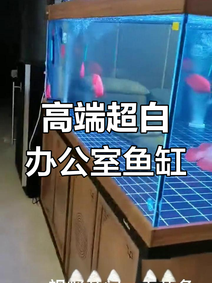 超高档无管道鱼缸,专为发烧友设计