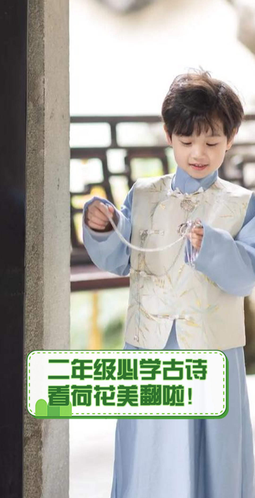 二年级必学古诗,看荷花美翻啦!