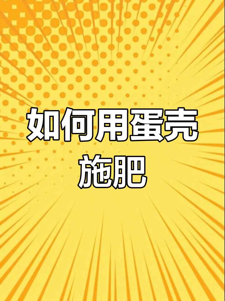 鸡蛋壳做肥料,简单又有效!教你正确使用方法
