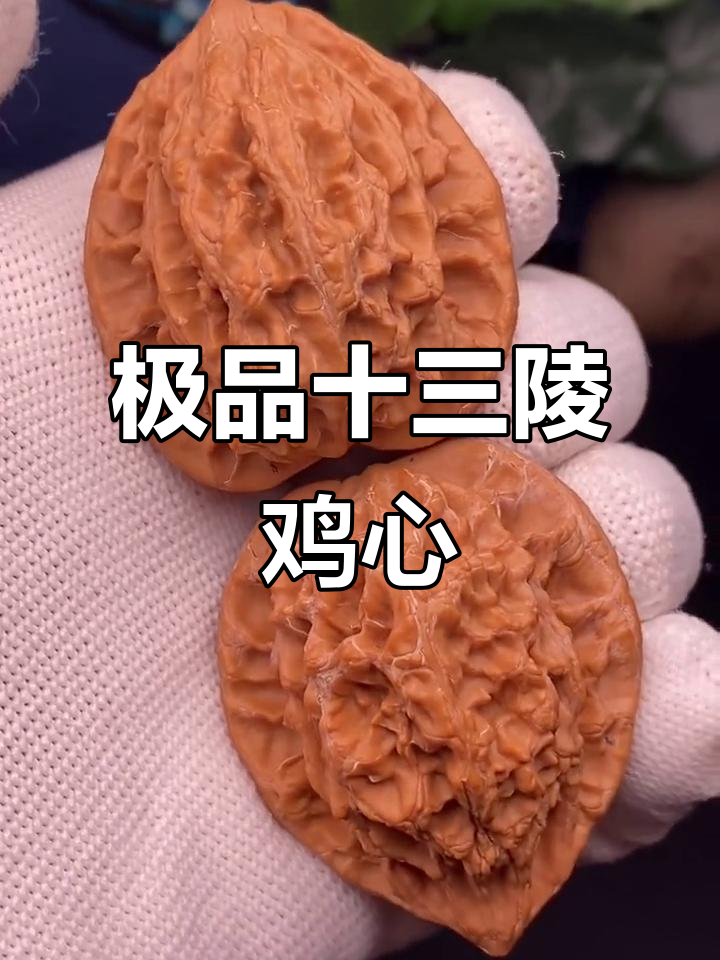 十三陵鸡心核桃,稀有野生小众品种,纹理深邃硬如石头