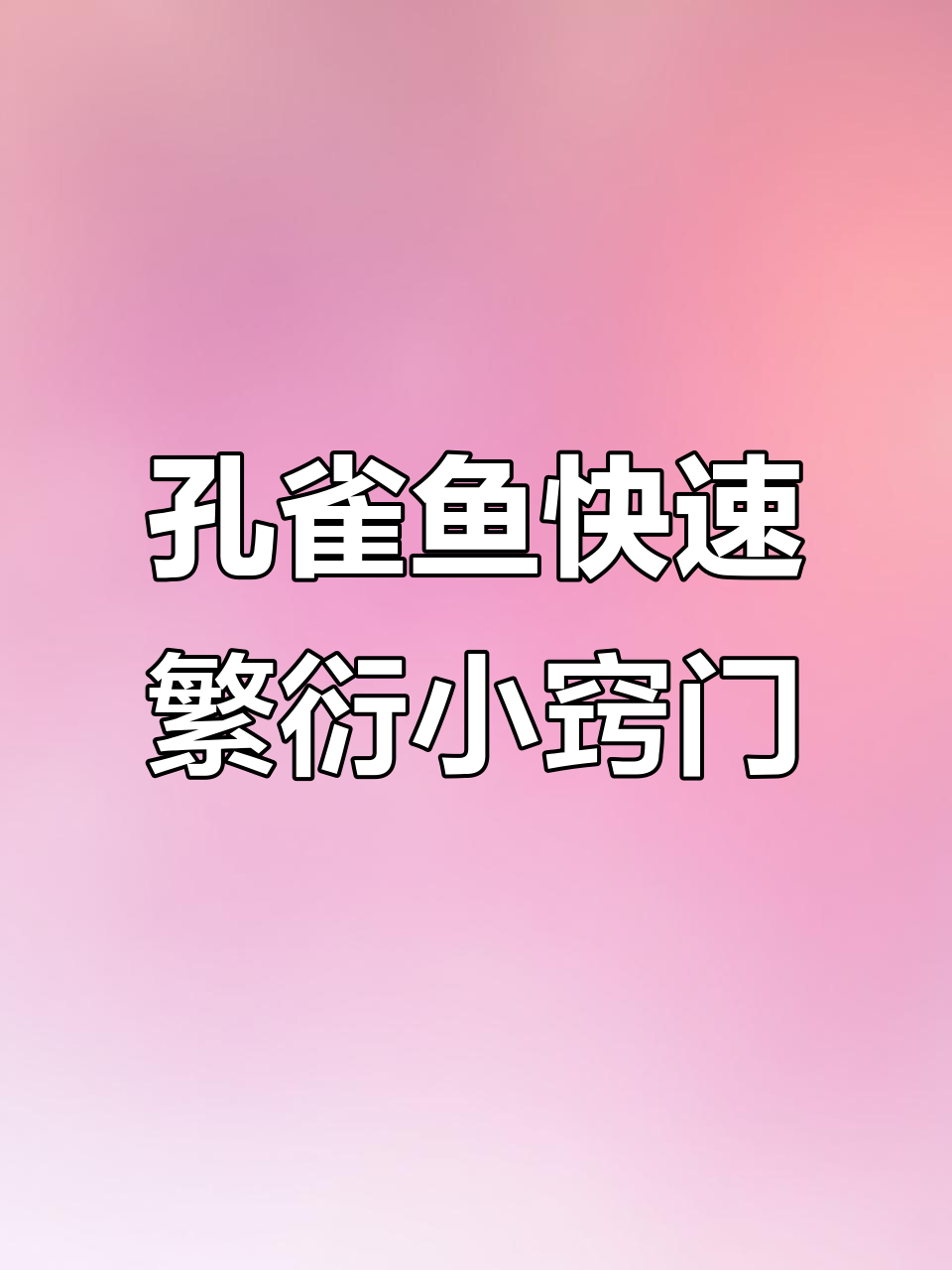 孔雀鱼爆缸秘籍:从选对鱼缸到繁殖技巧全解析