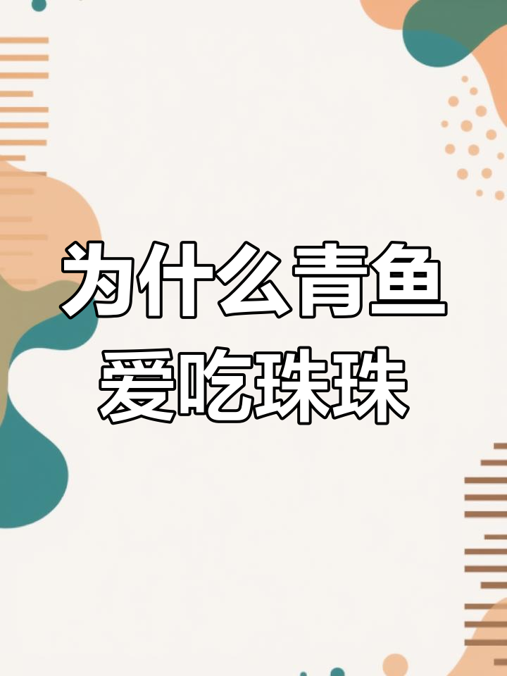 青鱼为何偏爱珠珠?揭秘原因与钓法技巧
