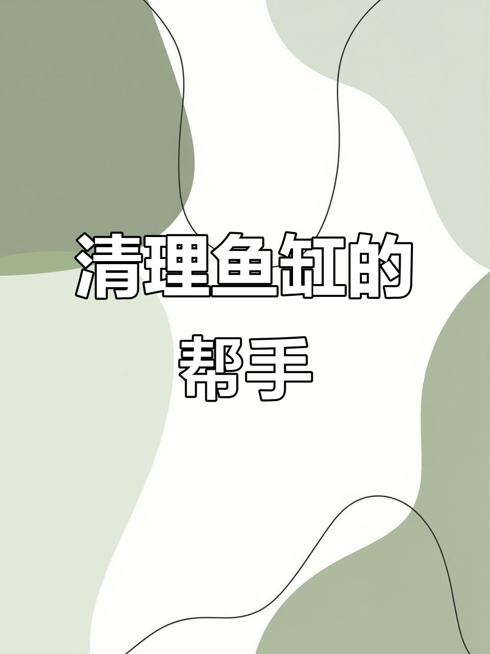 女王大帆清洁鱼,帮你搞定鱼缸青苔和粘膜