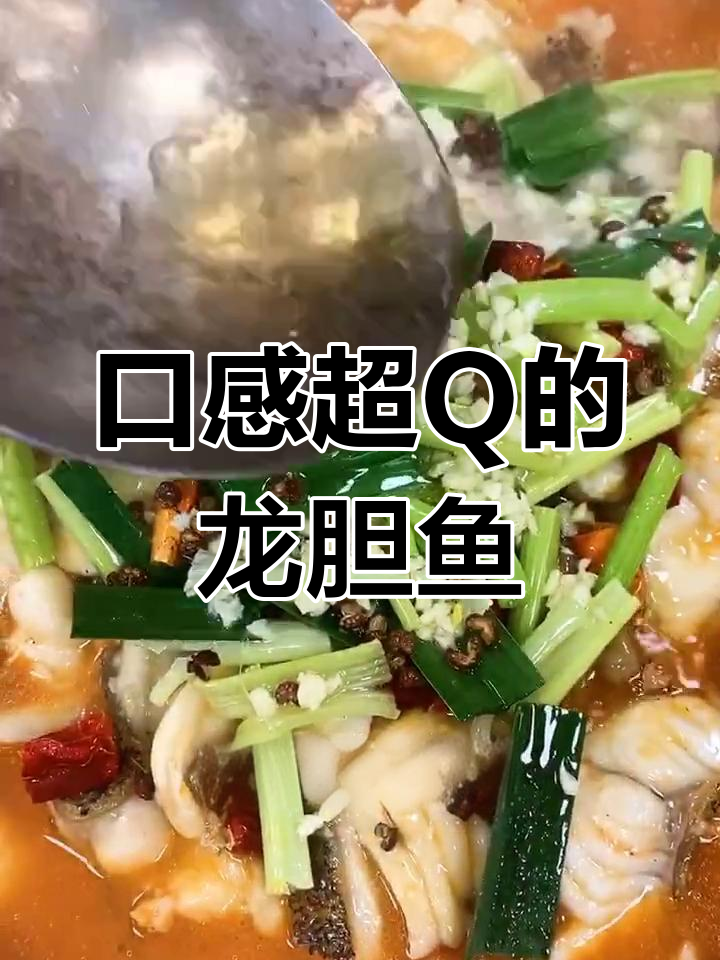 龙趸鱼:皮弹肉鲜,越大越美味