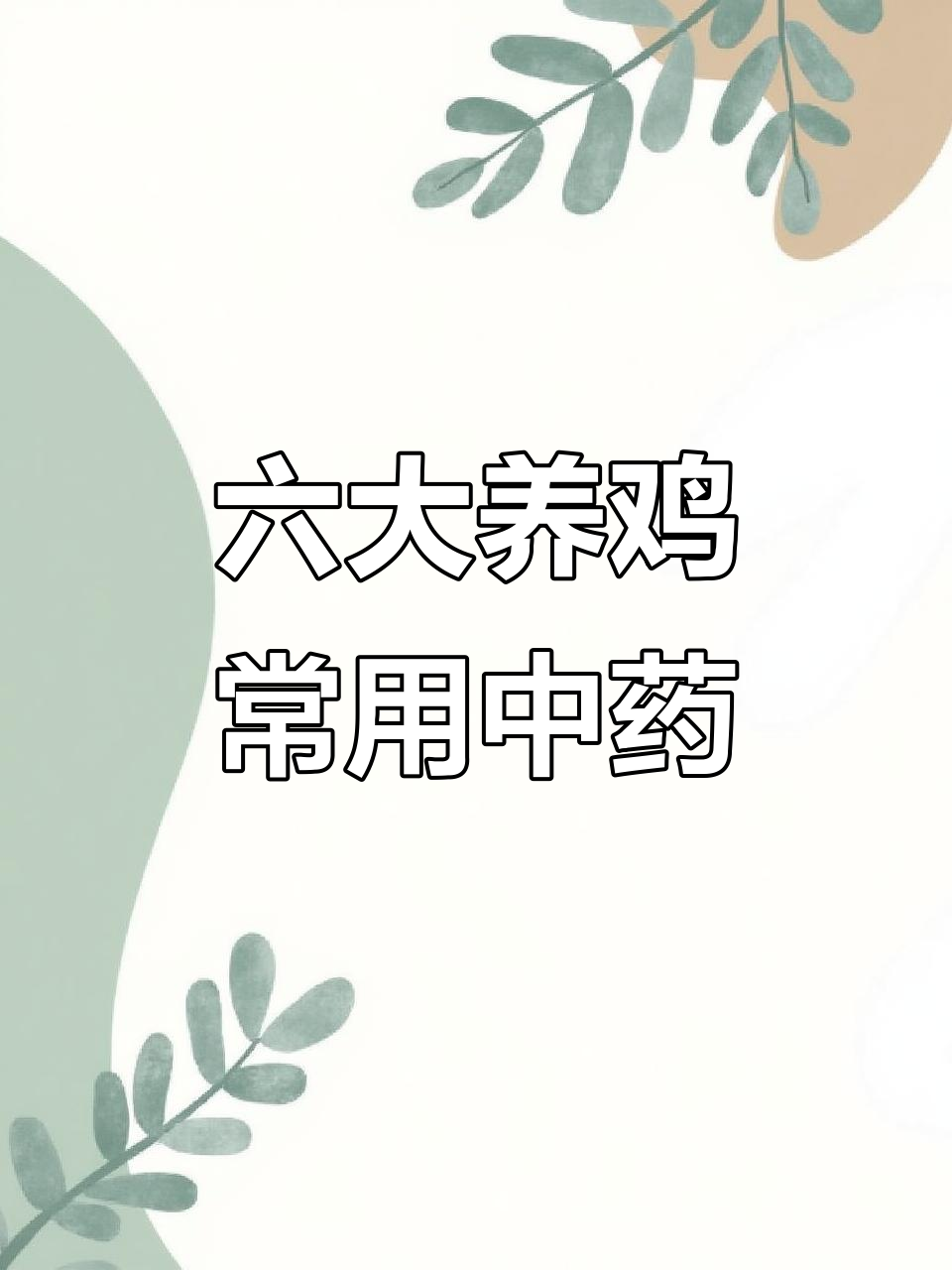 养鸡必备六种中草药,防治疾病效果显著