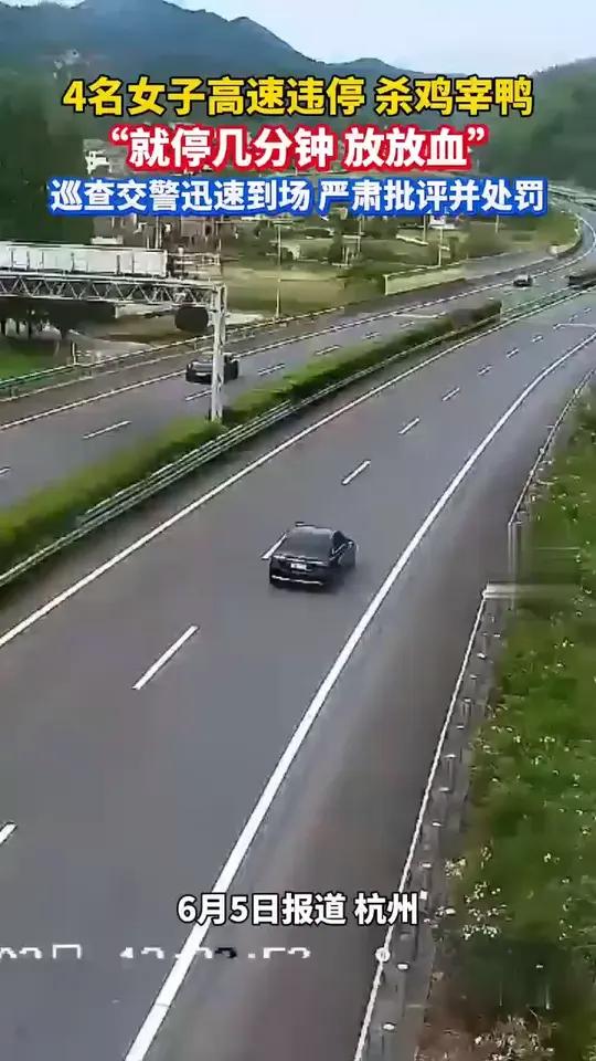 杭州4女子高速违停下车杀鸡宰鸭，称：就停几分钟，放放血……交警严肃批评并处罚！（来源：杭州
