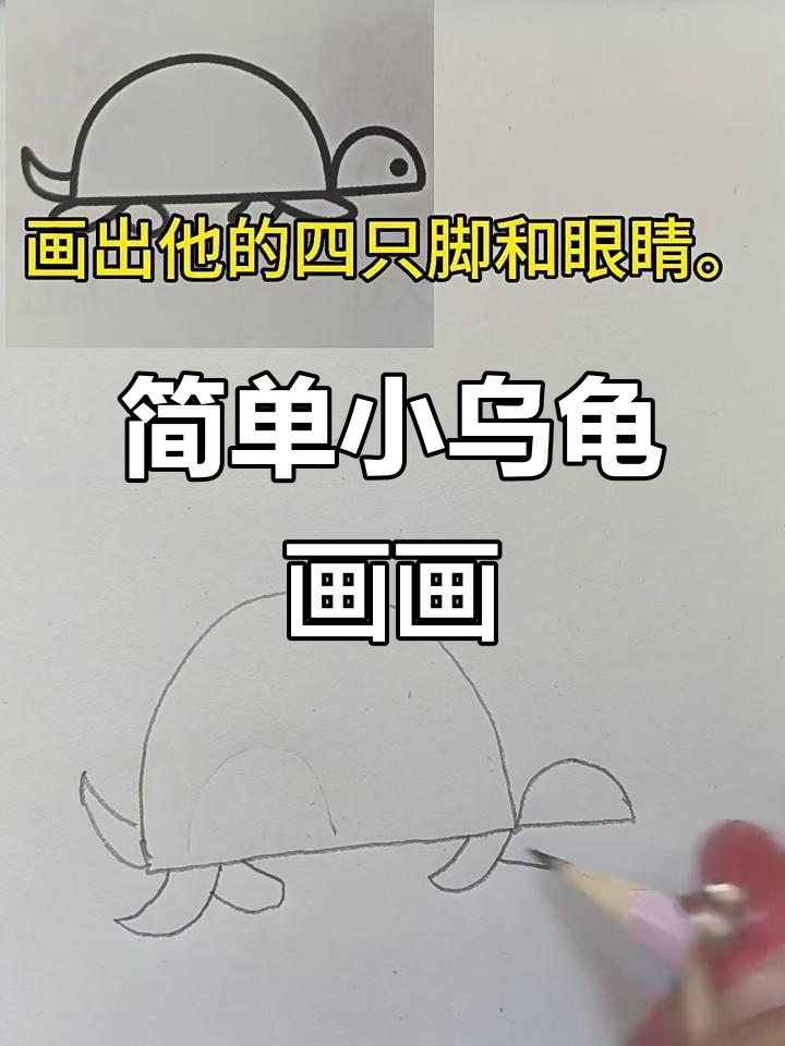 小乌龟简笔画,轻松学会画可爱龟壳