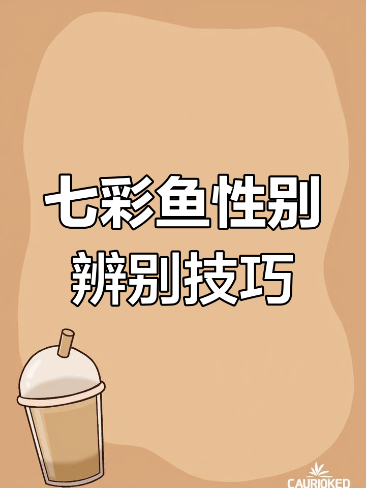 如何分辨七彩神仙鱼的公母