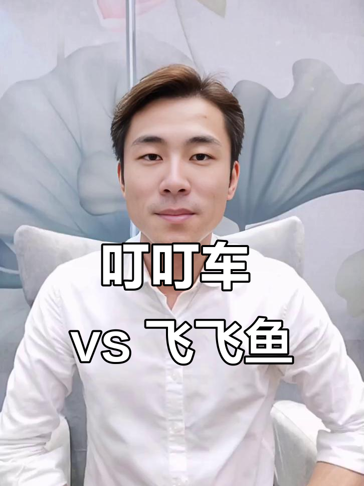 叮叮车与飞飞鱼：哪个更适合急事，哪个适合悠闲时光？