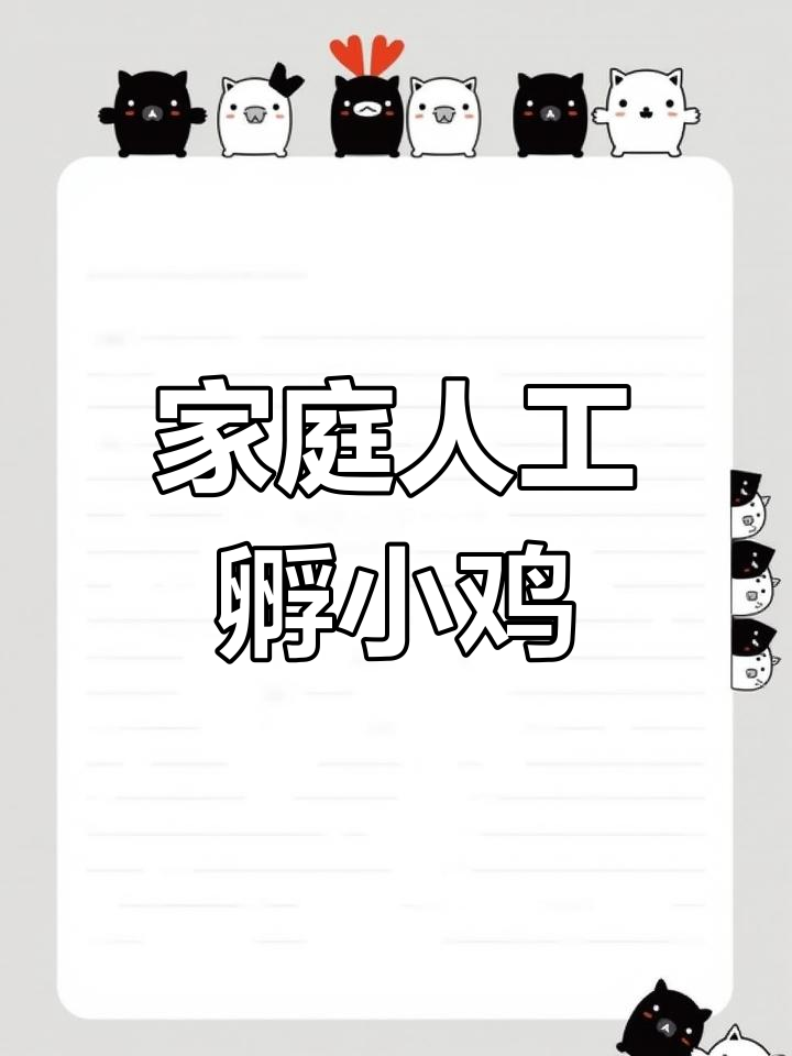 在家轻松孵化小鸡,薰衣草克星球观赏鸡也能搞定