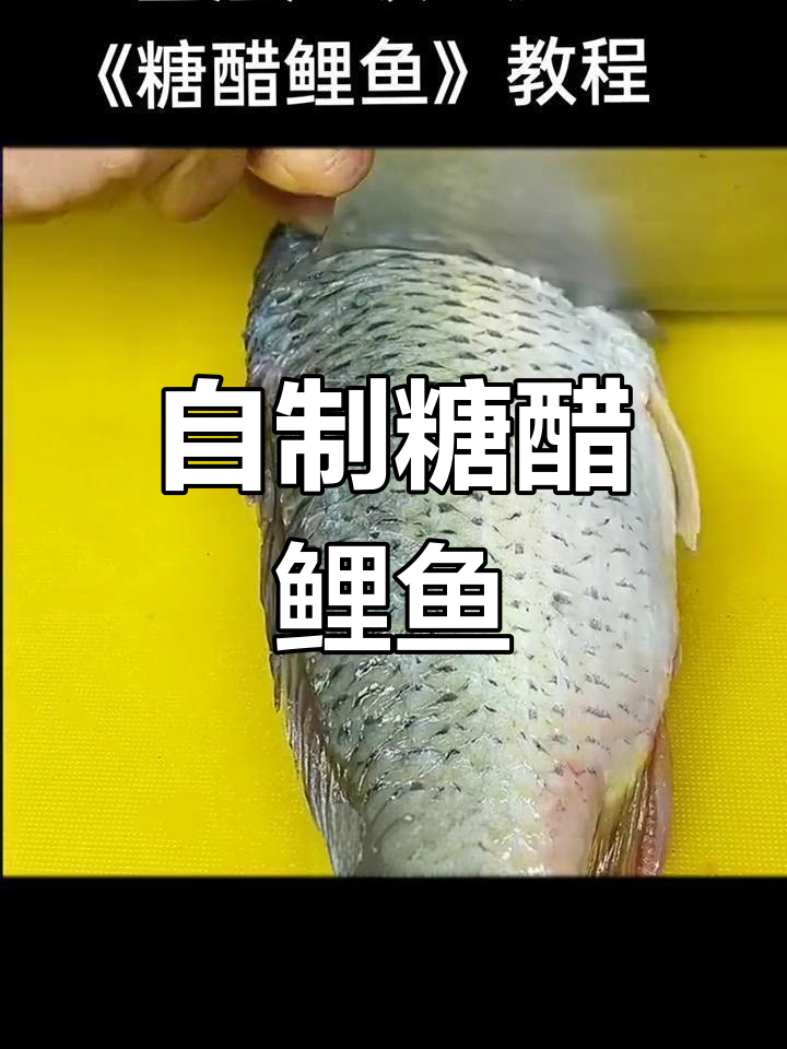 糖醋鲤鱼的家常做法,轻松学会