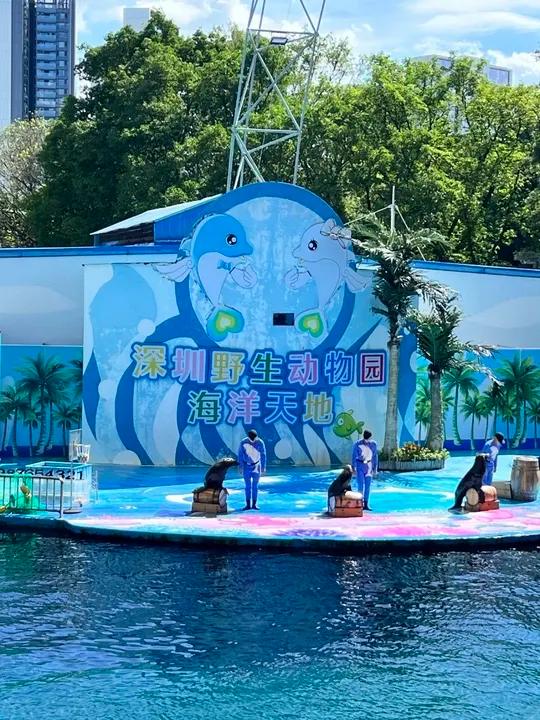 大渔铁板烧降价,终于可以实现铁板烧自助啦