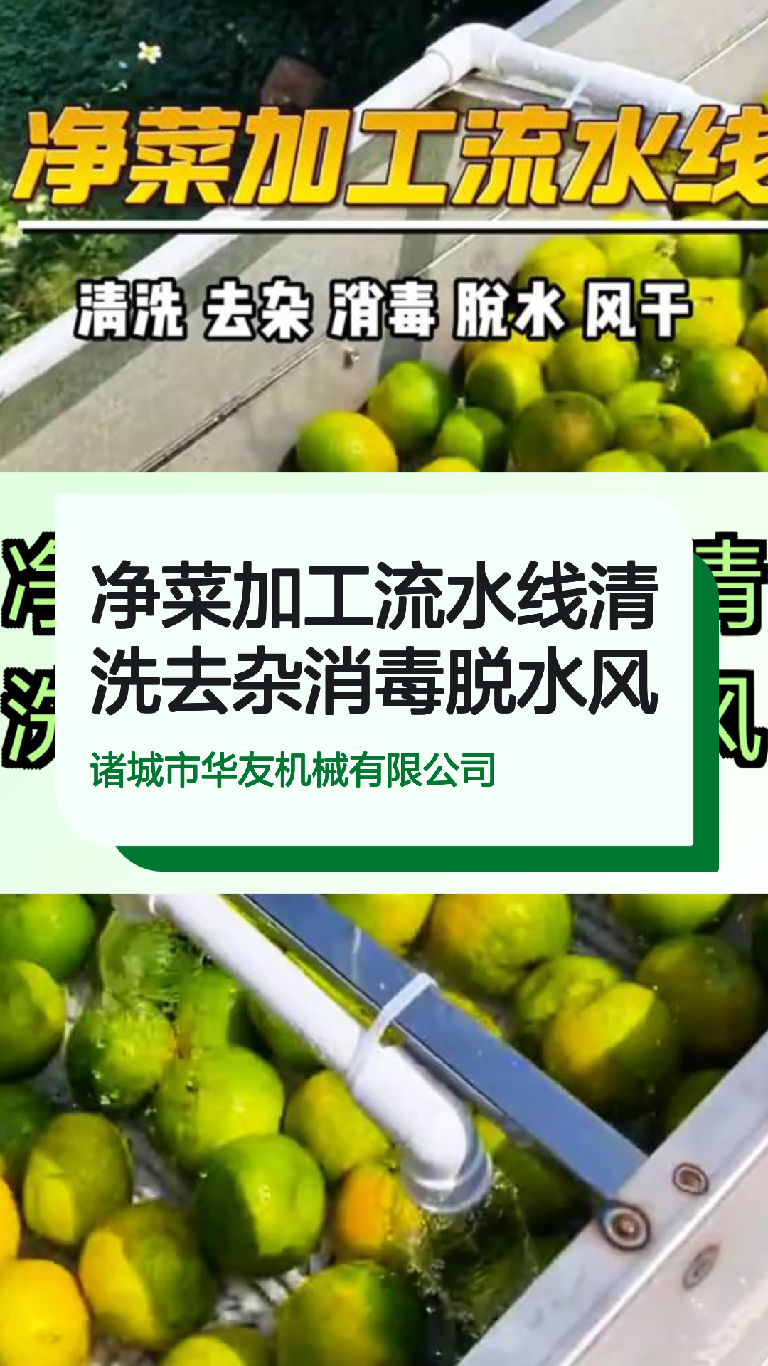 净菜加工流水线清洗去杂消毒脱水风