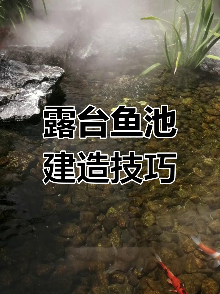 露台鱼池设计要点:承重、过滤与防水全解析