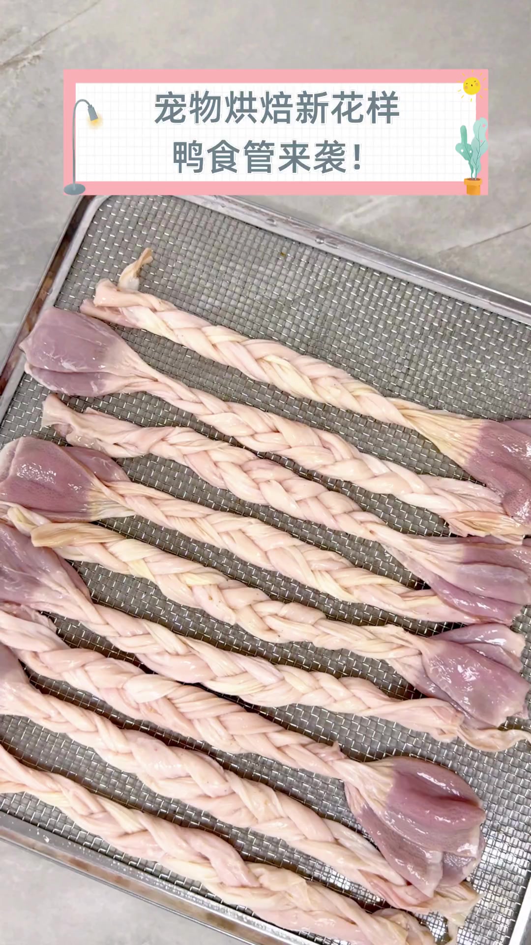 宠物烘焙新花样,鸭食管来袭!