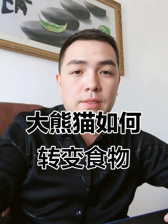熊猫为何从食肉变吃竹子?揭秘大熊猫的进化之路