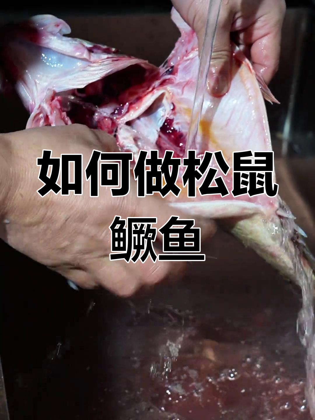 松鼠桂鱼做法大揭秘,鲜嫩鱼肉搭配美味酱料