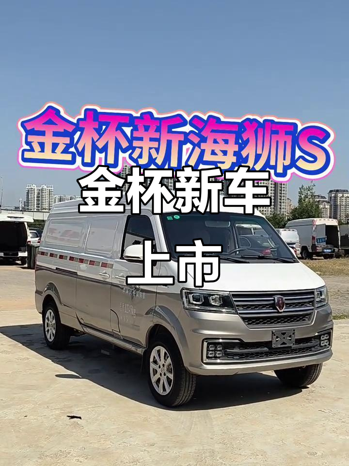 2020年金杯海狮,全新货运车外观如新