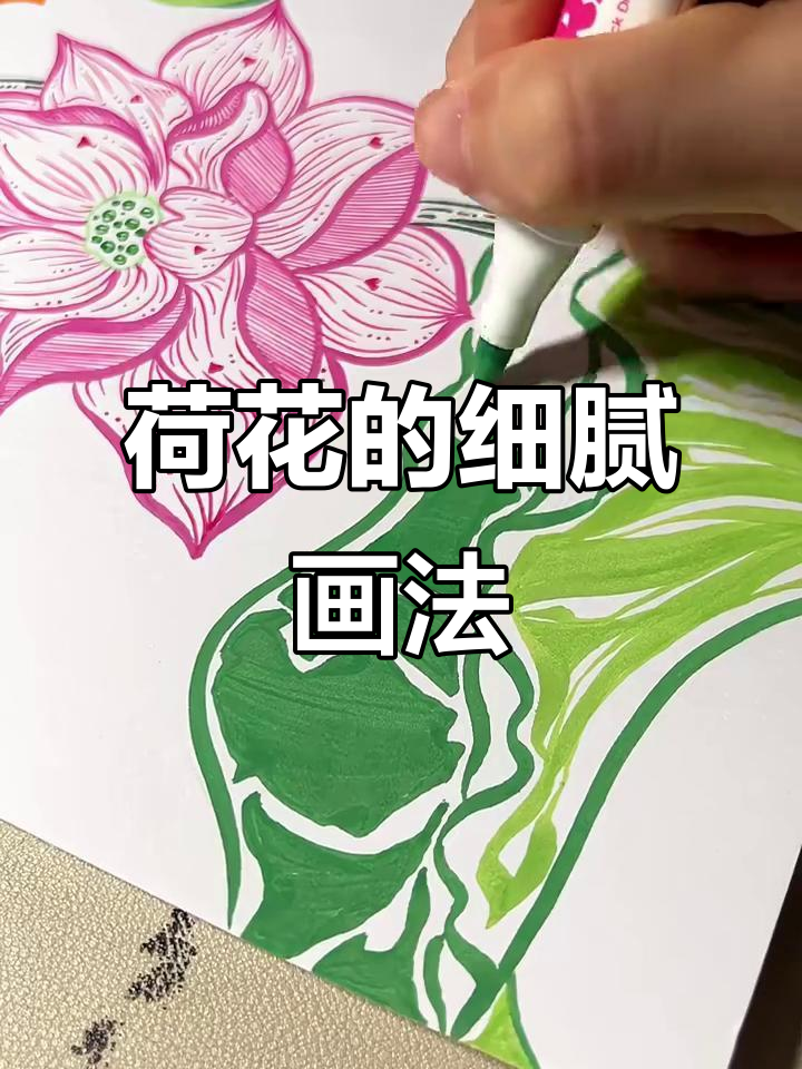丙烯马克笔绘制荷花,细节与力度完美掌控