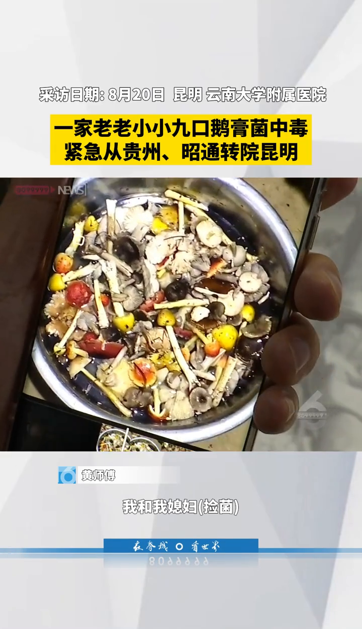 一家老老小小9口鹅膏菌中毒，紧急从贵州、昭通转院昆明